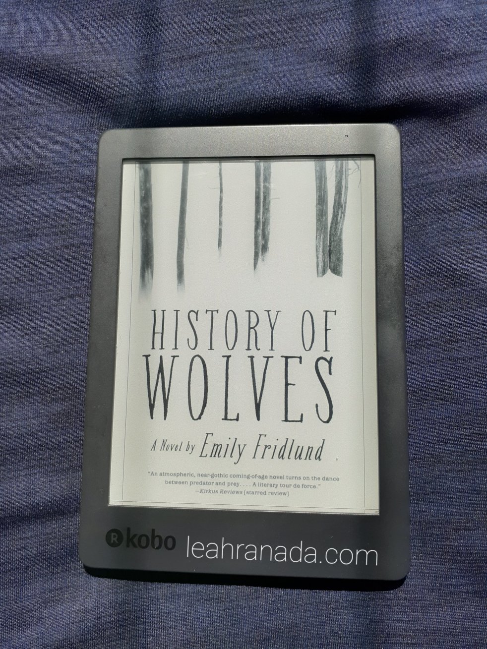 unlikelythriller-leahranada.com